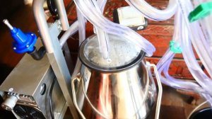 Электрический доильный апарат VEVOR на 25 литров.