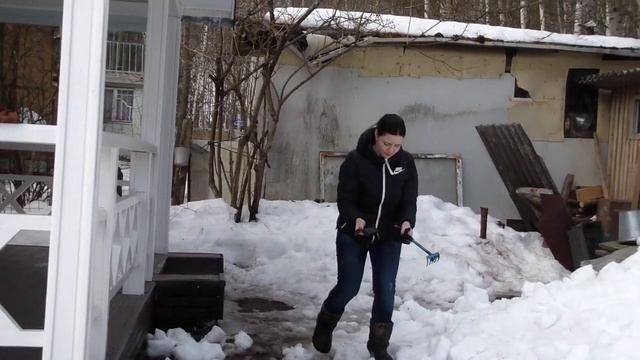 Первые работы в саду в марте. Спасает хвойники от ожога. Снимаем первое укрытие у гортензии. смотреть онлайн