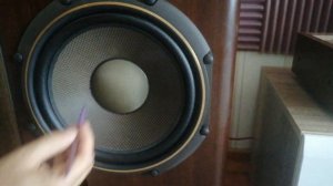 Diatone ds 97c, Пришло время пропитать подвесы.