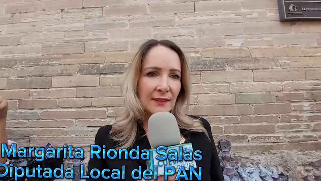 Margarita Rionda Salas, levantó la mano para ir en busca del gobierno capitalino смотреть онлайн