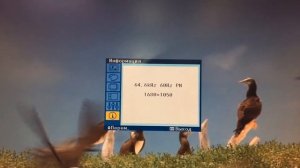 Монитор Samsung SyncMaster 2243NW