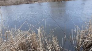 Рыбалка река Миус,  Неклиновский район  11.03.22
