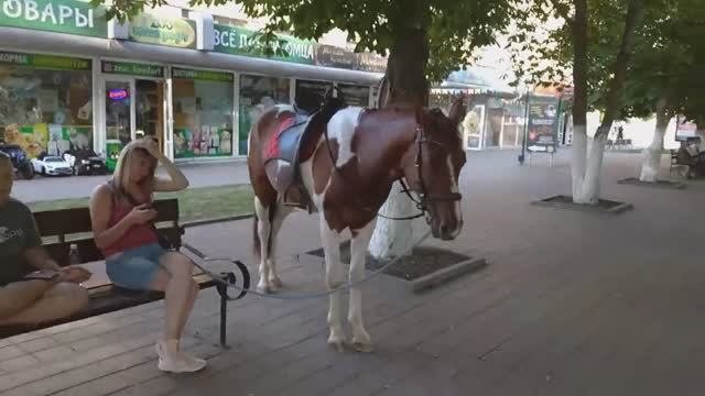 Дела житейские 19.06.23 #прогулка #город61 #обзормагазинов #твстик #шаурма #садогород