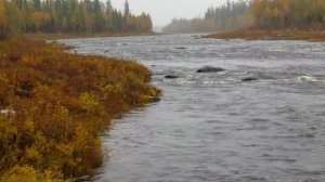 Осень  Бахта