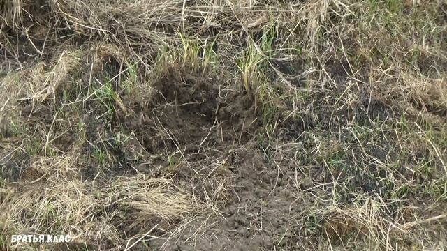 Боронование покоса, для удаления кочек! смотреть онлайн