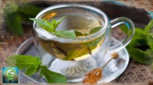 Как улучшить ПАМЯТЬ Самые ПРОСТЫЕ НАПИТКИ для улучшения памяти и РАБОТЫ МОЗГА Советы для здоровья