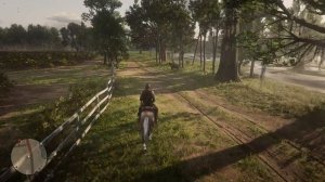 Помощь Незнакомцу. Прохождение RDR2. Часть 102.