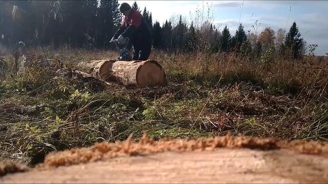 бензопила дружба 4А в работе