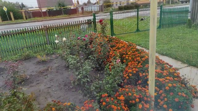 СТАЛО ПЛОХО/ВЫЗВАЛИ СКОРУЮ смотреть онлайн