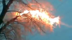 Налипание мокрого снега на ЛЭП 110кВ и короткое сквозь крону дерева