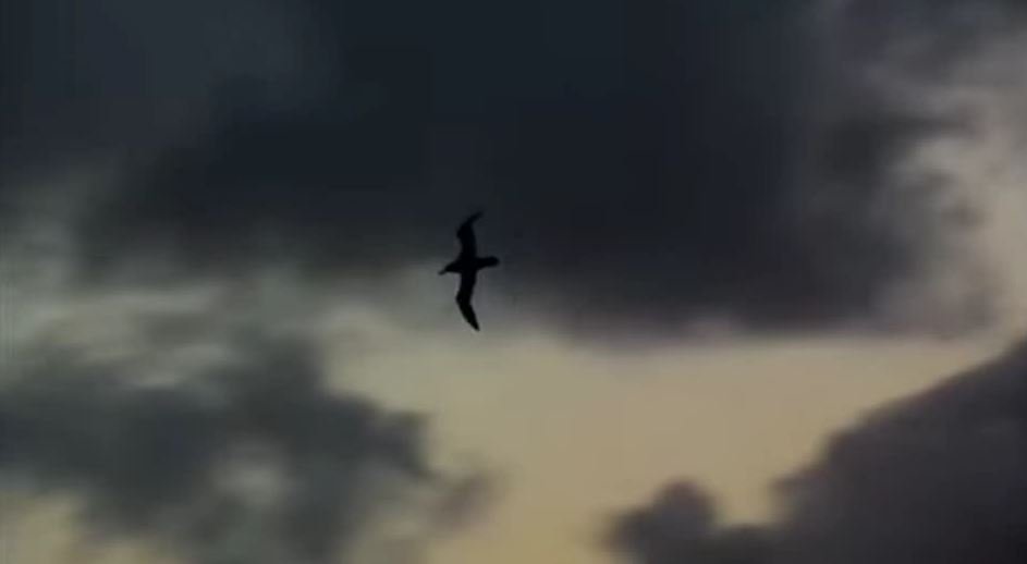 Николай Гумилев На мотивы Грига