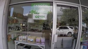 Лучший SPA на Бали. Что можно купить в Canggu Shop. Вечеринка на пляже | BALI VLOG #4