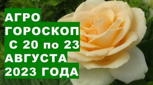 Агрогороскоп с 20 по 23 августа 2023 года. Agrohoroscope from 20 to 23 August 2023