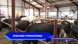 Новый корпус животноводческого комплекса племзавода Пушкинское открылся в Большеболдинском районе