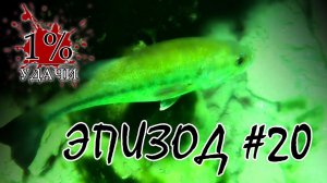 1% УДАЧИ. Эпизод 020. Богдан Смирнов про фридайвинг и подводную охоту.