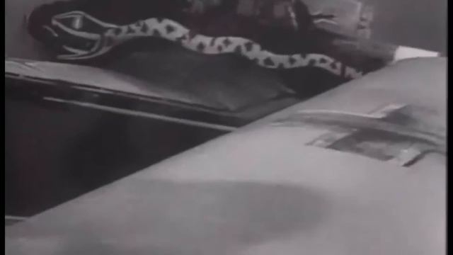 ЗВАНИЯ ГЕРОЯ ЛИШИТЬ! Единственный случай в СССР как полицай стал Героем Советского союза смотреть онлайн