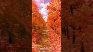 Кутэренке , шат кэефлэр, бэхетле гомерлэр насыйп булсын Сезгэ Дуслар🥰🥰🥰
