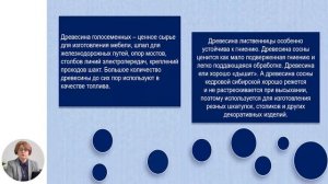 Биология, 10-й класс, Роль голосеменных в природе и жизни человека