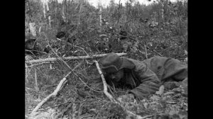 Трагедия 2-й ударной армии!