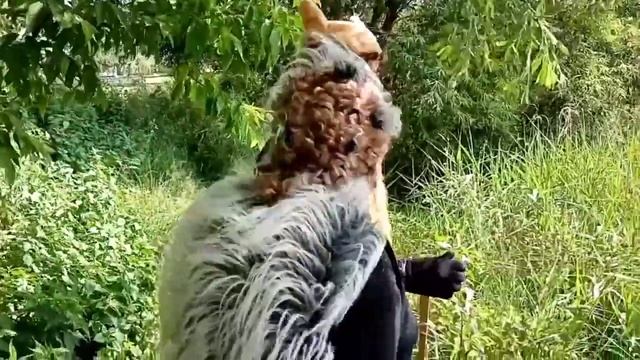 "Путешествие в страну этикета" филиал "Росский Дом культуры" смотреть онлайн