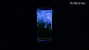 ХИМИЧЕСКОЕ СВЕЧЕНИЕ: ЛЮМИНОЛ И КРАСНАЯ КРОВЯНАЯ СОЛЬ