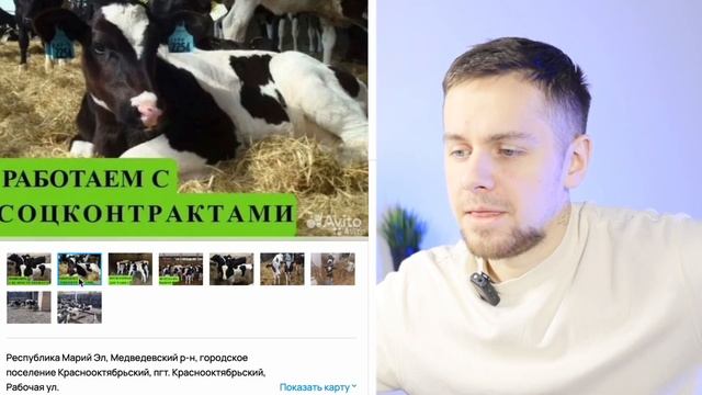 Продажа коров на Avito | Разбор магазина