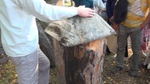 ?109? У ГЕРМАНА СТЕРЛИГОВА НА ПАСЕКЕ ? ПРО БОРТНИЧЕСТВО