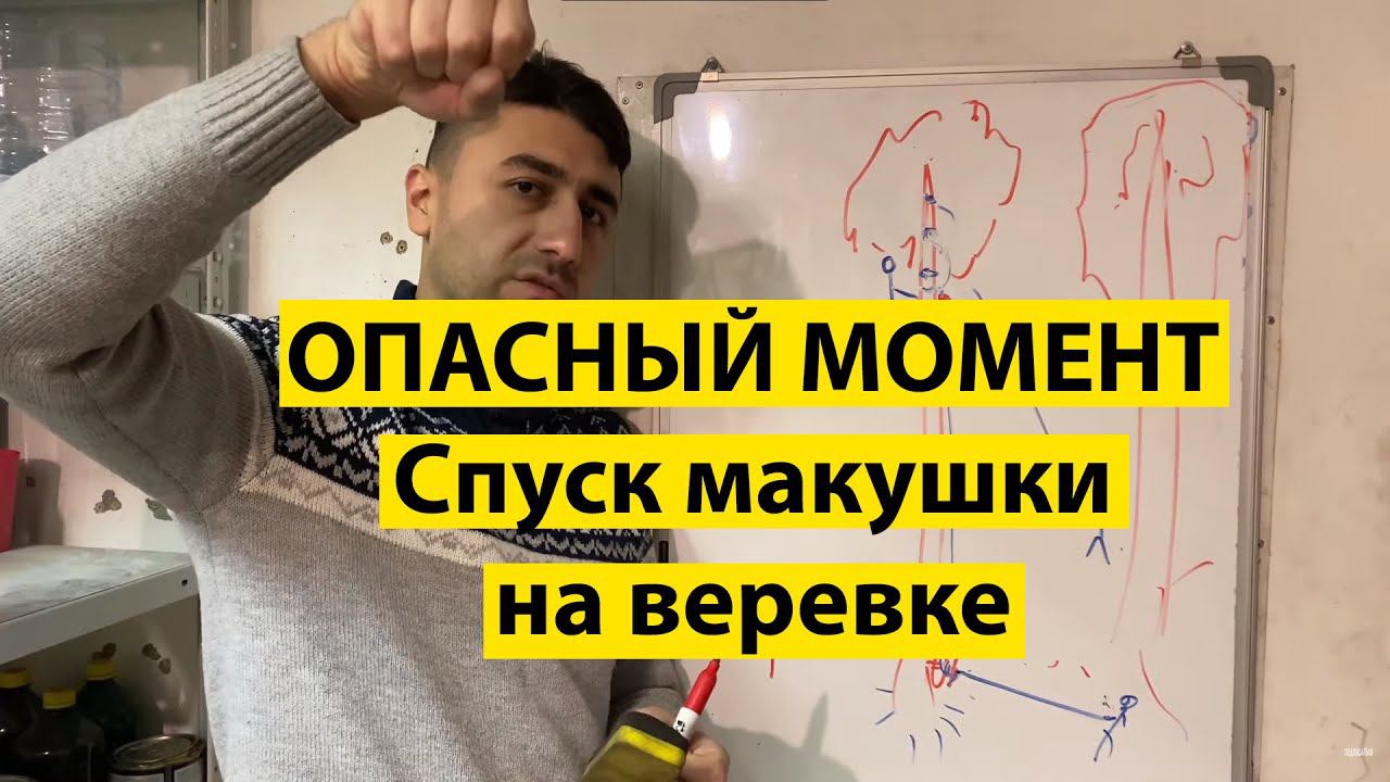 Спил макушки дерева со спуском на веревке. Самый опасный момент в удалении дерева.