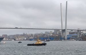Бухта Золотой Рог , порт. Владивосток
