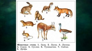 "Степь", Окружающий мир 4 класс ч.2, с.30-32, Школа XXI век.