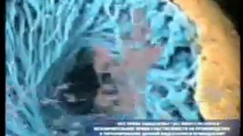 Факторы, влияющие на Здоровье Человека .