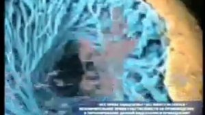 Факторы, влияющие на Здоровье Человека .