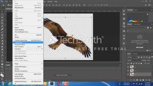 How to create a wings bird gif animation/ Photoshop