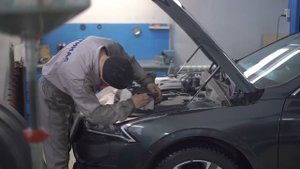 Масло Havens Safeguard SAE 5W30