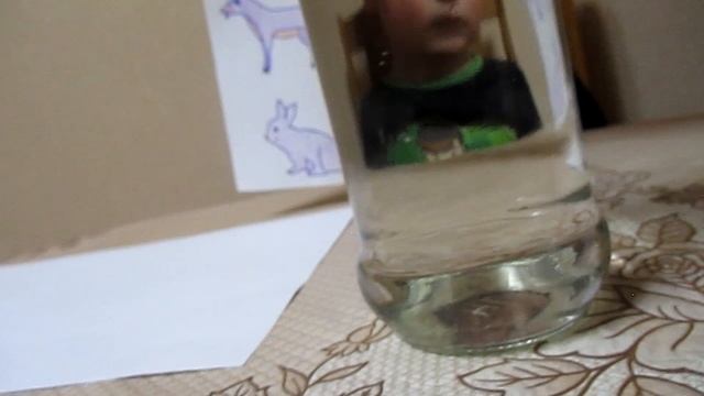 Опыты с водой и зубочистками смотреть онлайн