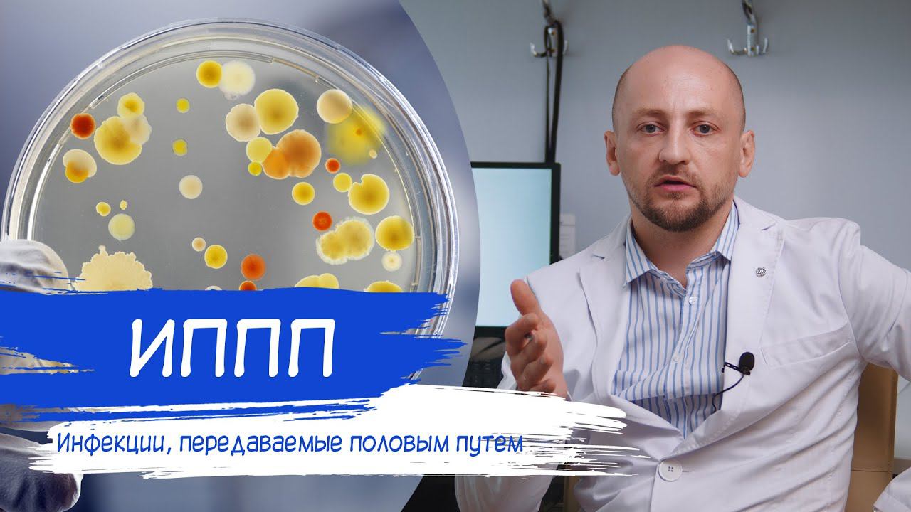 Инфекции передаваемые половым путем | ИППП смотреть онлайн