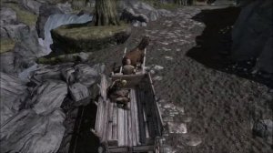 skyrim carriage mod glitch