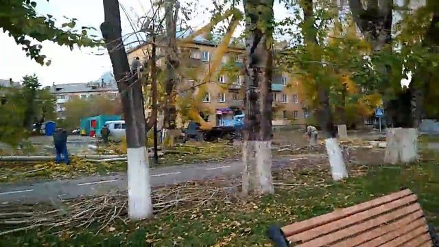 Усть-Каменогорск деревья смотреть онлайн