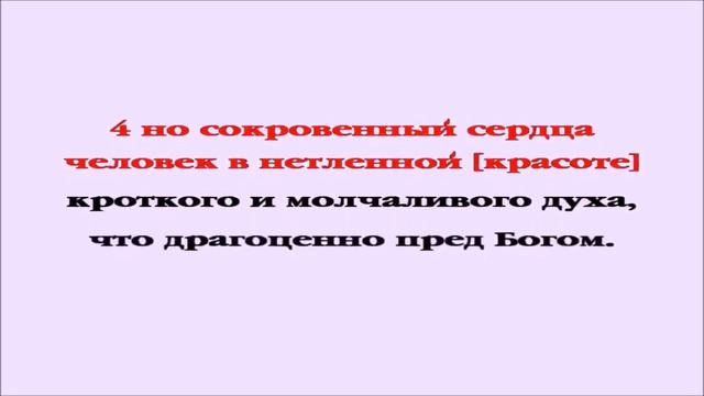 Видеобиблия Первое Послание Петра вся книга