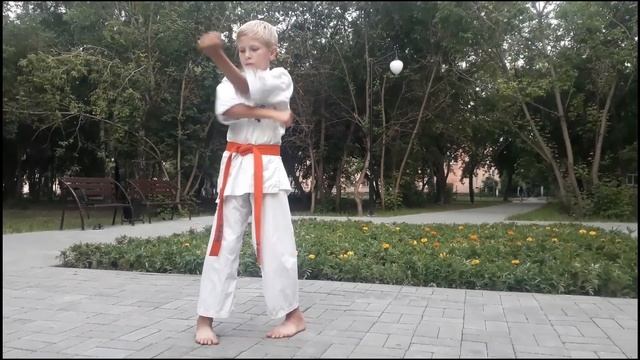 ТРЕНИРОВКА. ШИН КИОКУШИНКАЙ КАРАТЭ. КАТА
