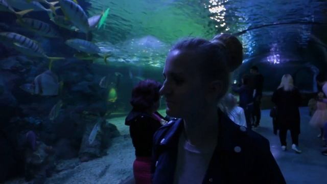 Океанариум ТЦ РИО Москва, обзор смотреть онлайн