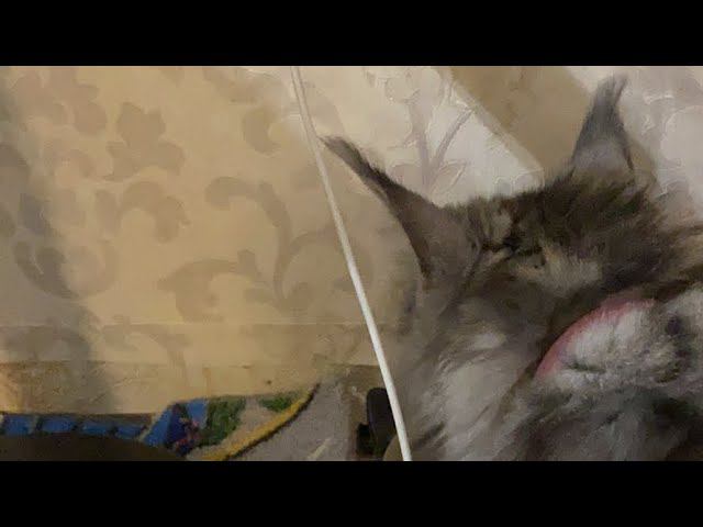 Телефон сел. Рейд окончен