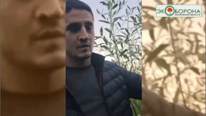 Каховское водохранилище покрылось лесом