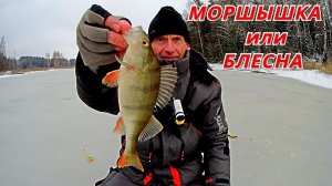 ОКУНЬ на БЛЕСНУ и ГВОЗДИК. Рыбалка с ПОДВОДНОЙ КАМЕРОЙ по первому льду.