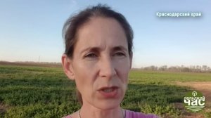 Ты налог видишь? А он есть! Сельский Час # 179 (Игорь Абакумов)