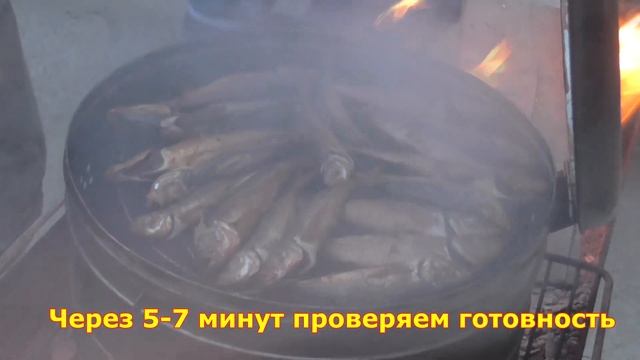 СТАВРИДКА ЧЕРНОМОРСКАЯ ГОРЯЧЕГО КОПЧЕНИЯ