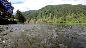 Сплав по р. Мана 2023г.