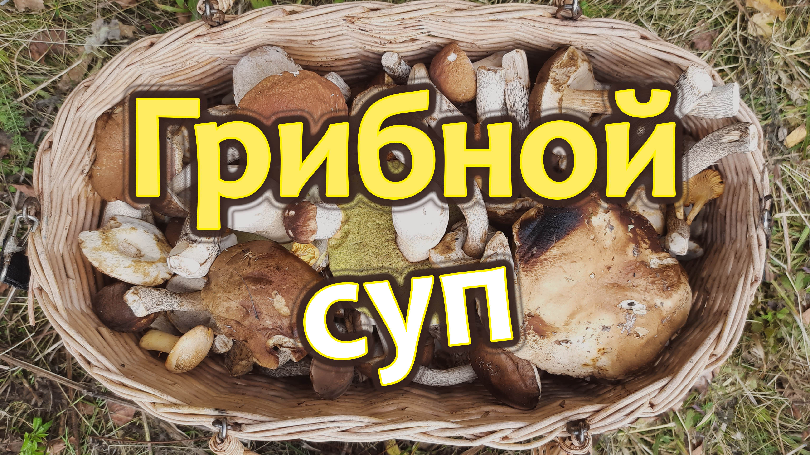 Как приготовить грибной суп из сушёных лесных грибов?  Вкусный и простой рецепт.