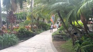 Отпуск начался . Гавайи Hilton Hawaiian Village Waikiki Beach Resort .