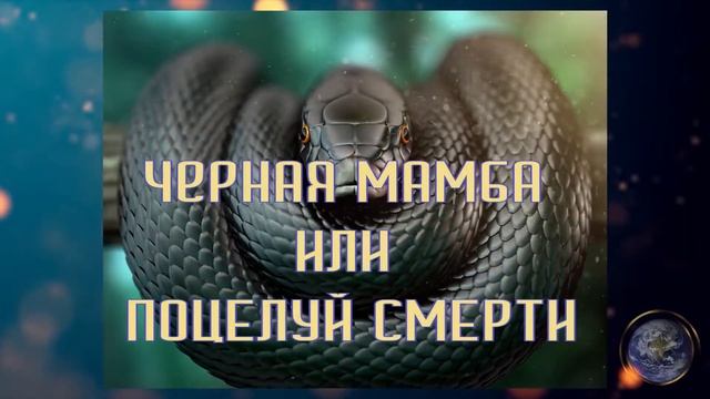 Самые опасные змеи в мире смотреть онлайн